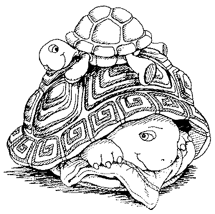a small tortoise on the carapace of a large tortoise